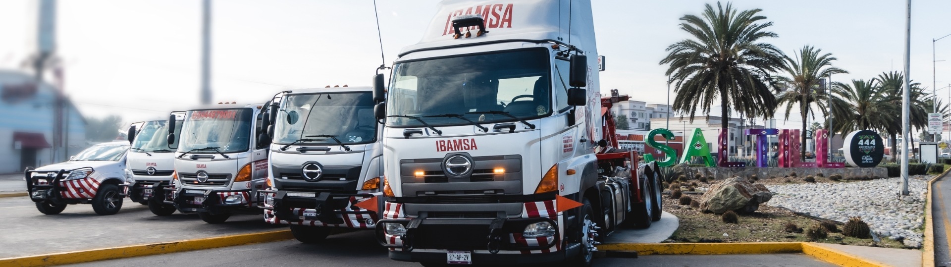 IBAMSA INSIGHT